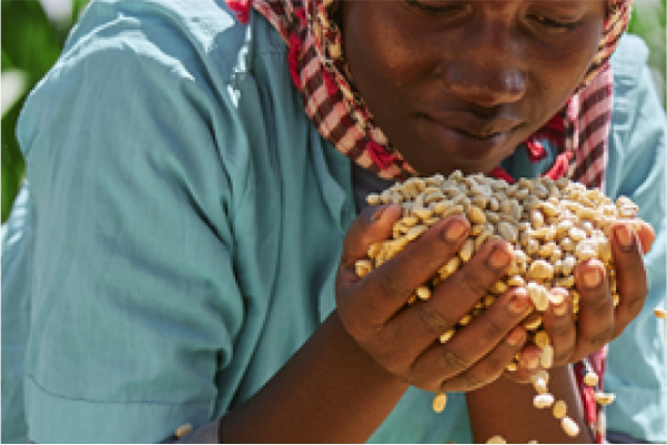 Food as a Necessity: The Importance of Adequate Nutrition for Families in Nigeria